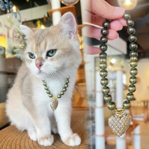 Verdant Bond Pet & Owner Set