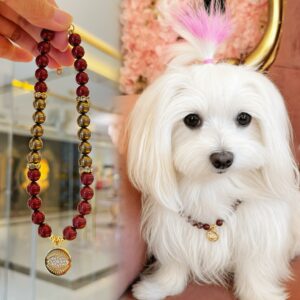 Royale Bond Pet & Owner Set